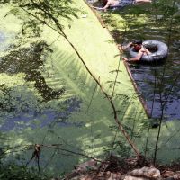 CANAL CLEANING (2)