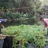 CANAL CLEANING (3)